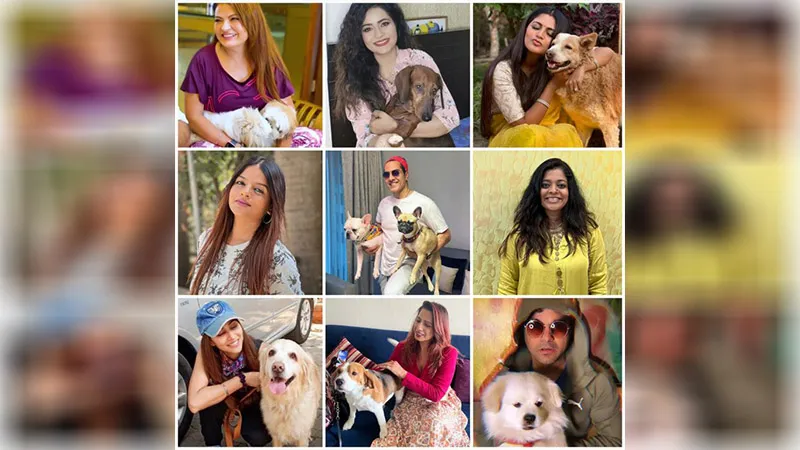 On National Pet day- Celebs laud new law (7)